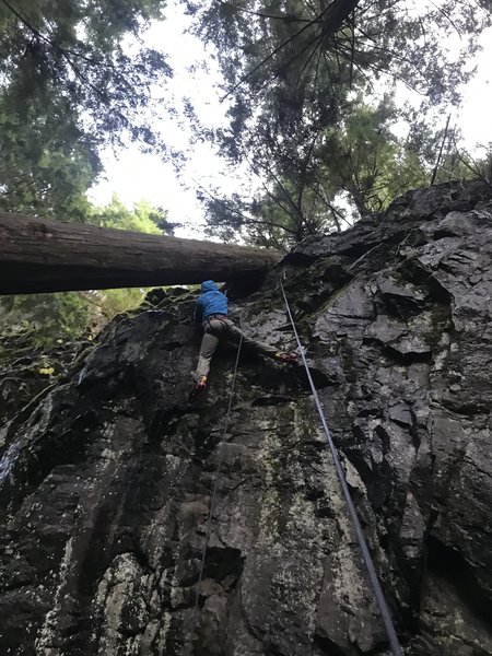 Joanne almost at the log!