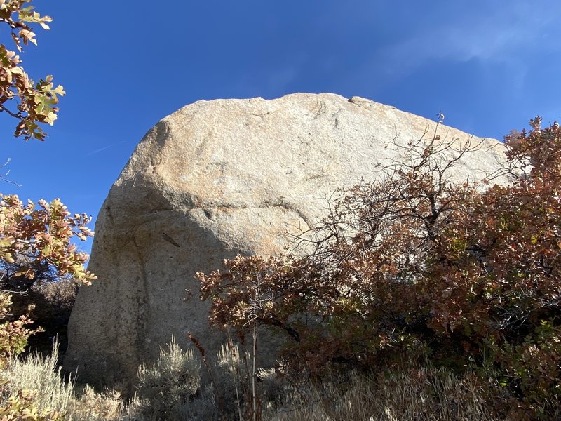 Looking uphill at The Golden Egg from the south