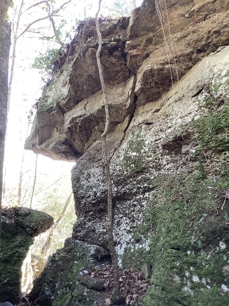 Fun moves up the crack and through the overhang.  I cleaned the loose rock from this problem, but the rock on this boulder is generally suspect so take care if you get off route.