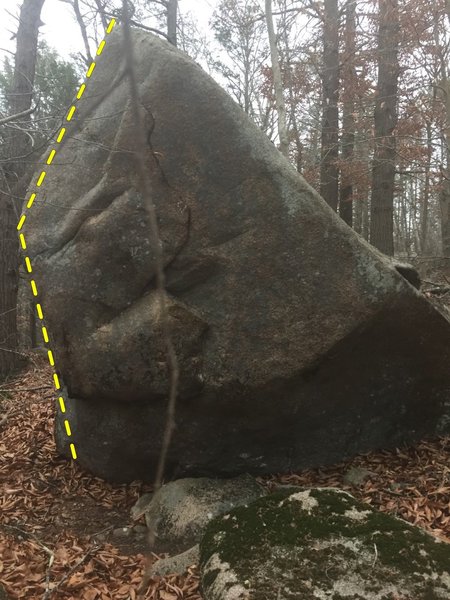 Swimsuit Mammal Handle (V3-4).