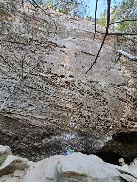 Hippocrite on left, Scar tissue chalk line on right.