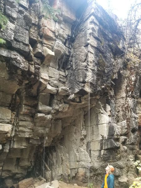 Lead the route. Overhangs stink for toproping.