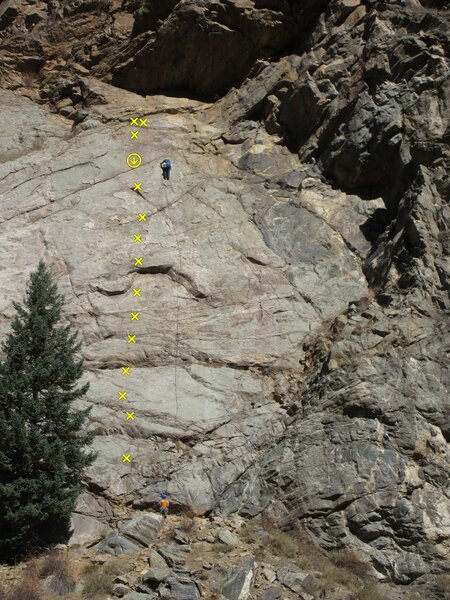 Crystal Cat in yellow.
<br>
<br>
(Folks with a rope on MacCavity.)