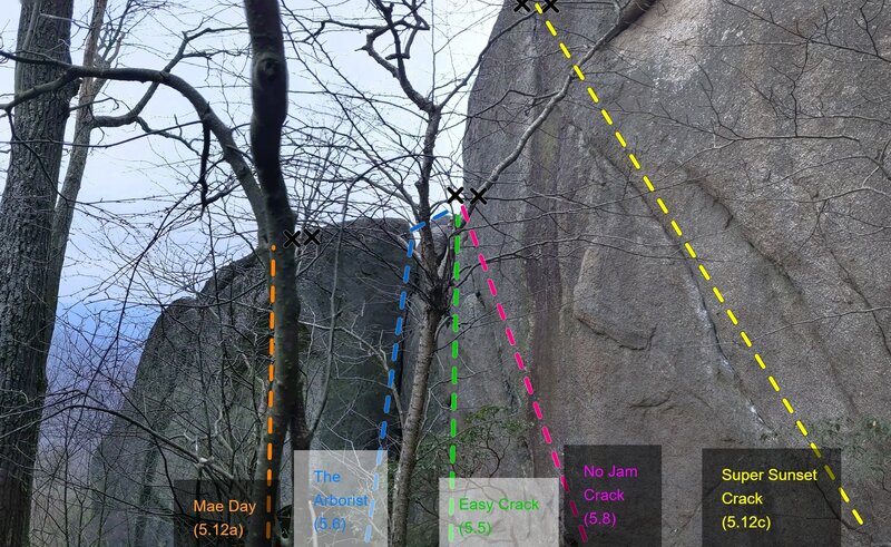 From left to right: Mae Day (5.12a, orange), The Arborist (5.6, blue), Easy Crack (5.5, green), No Jam Crack (5.8, pink), Super Sunset Crack (5.12c, yellow).
