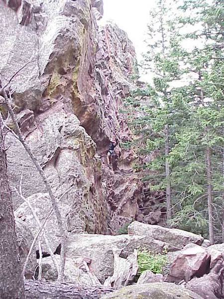 Laura in the middle of What if yr not?. Check out the long slings...