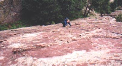 Katie Hubbard on pitch 1.