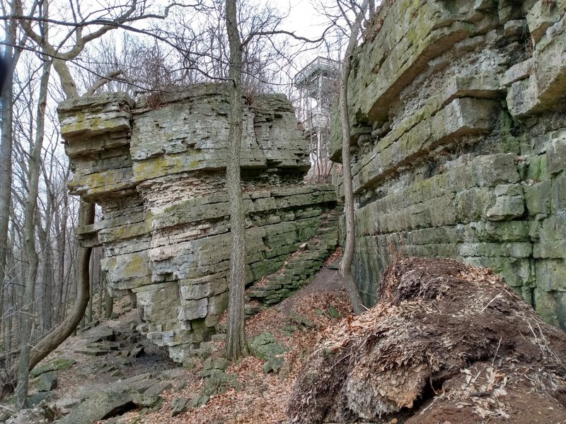 The Pavilion Block
<br>
<br>
(Perhaps better called the Observation Tower Block?)
<br>
<br>
The Park apparently dumps mulched leaves next to this spot.