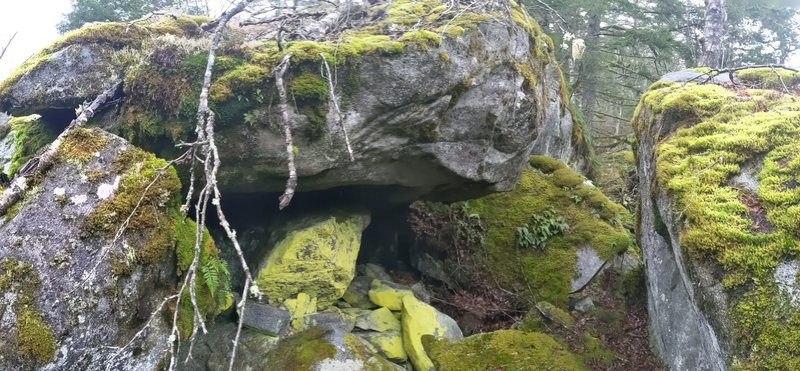 Yellow Cave, current (2021) overgrown conditions