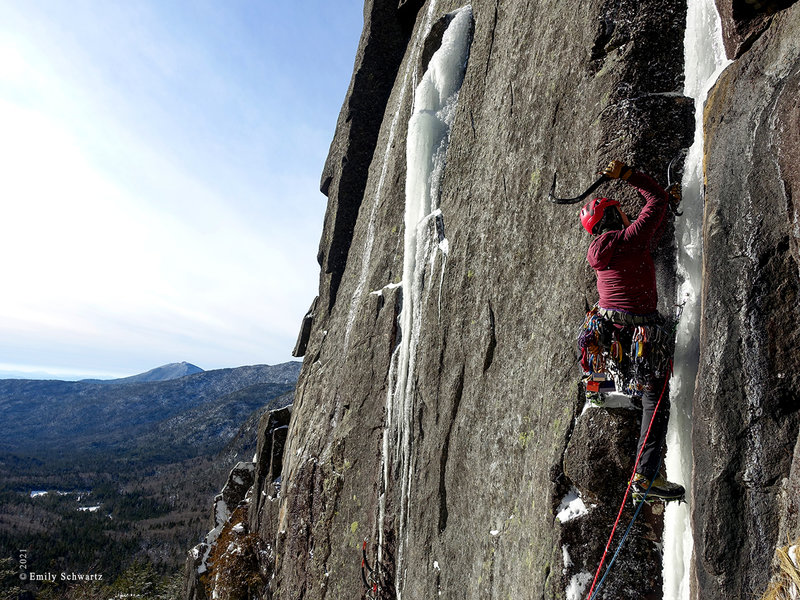 Robbi on lead during the FA; used with permission of Emily Schwartz.