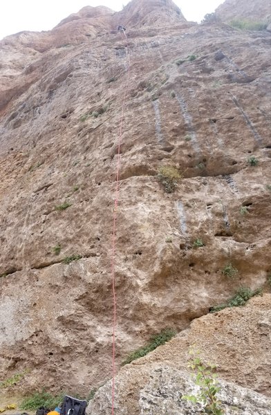Dani at the top of Çalikuşu. <br>
<br>
<br>
(This vertical panoramic photo is to visually share route beta regarding the start, route and anchor location of the climb.)