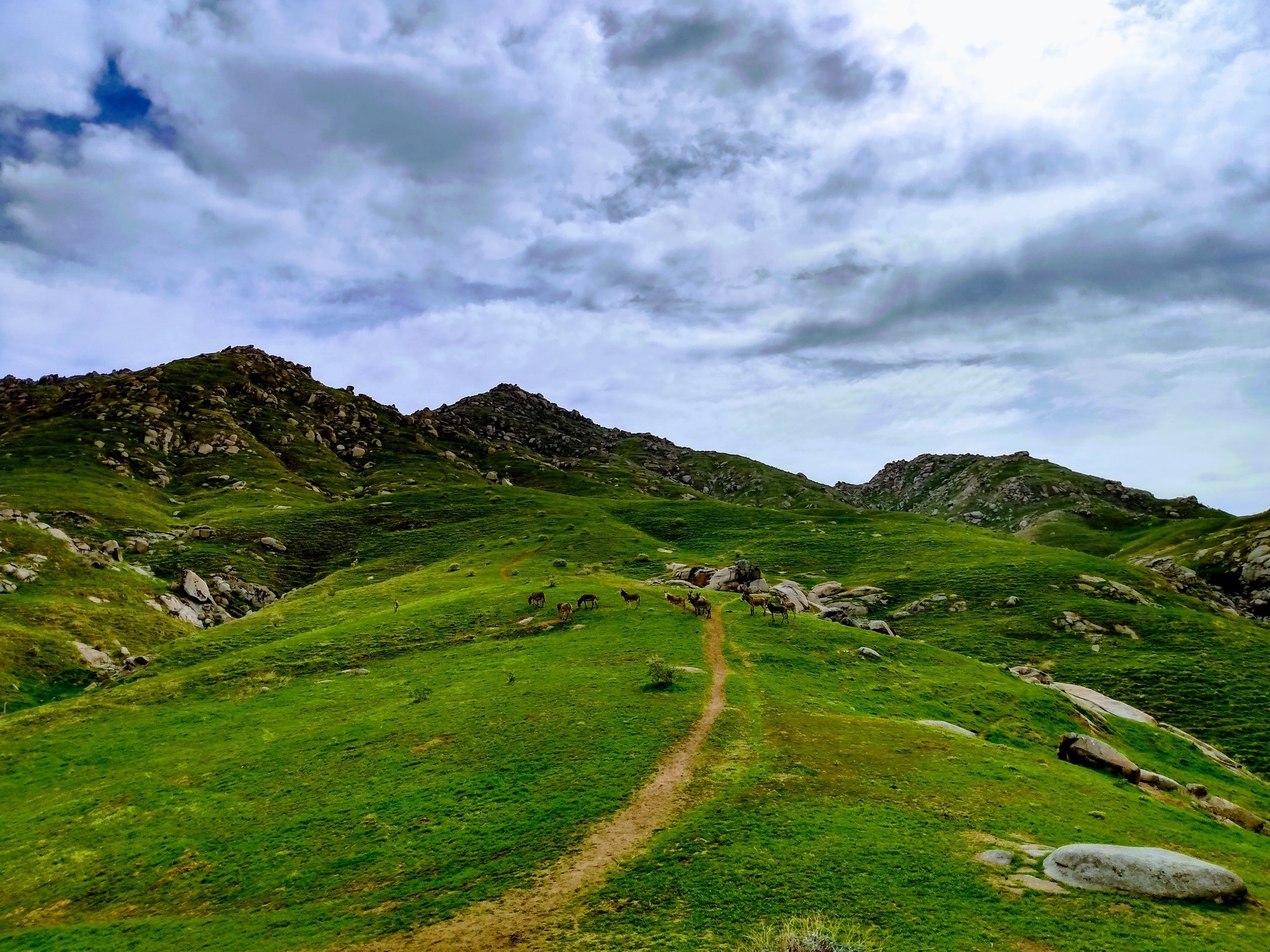 Green grass and blue skies forever, Box Springs Mountain Reserve