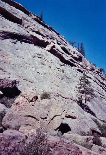 Bolted route start is 6 feet left of tree on walk-up ledge.