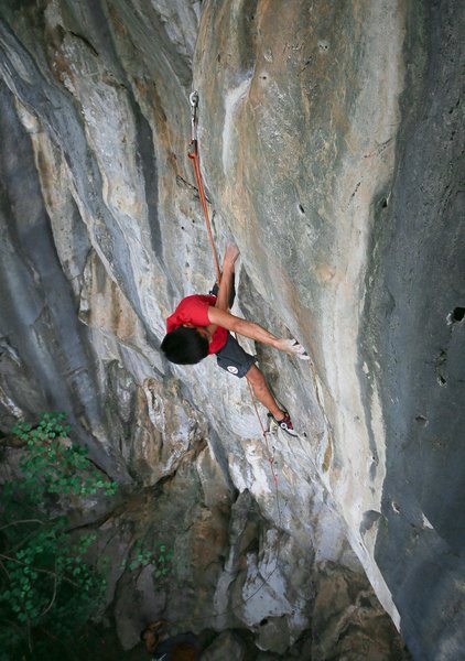 Ozzy doing the crux move on White Umbrealla (12d)