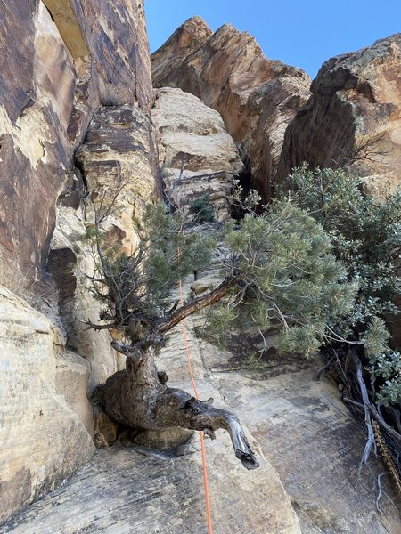 There's a bit of a fork in the route immediately following the catwalk. Heading up climber's right as seen in this photo is the more chill (and I think) the intended line. Heading climber's left will zig zags and it a bit harder.
