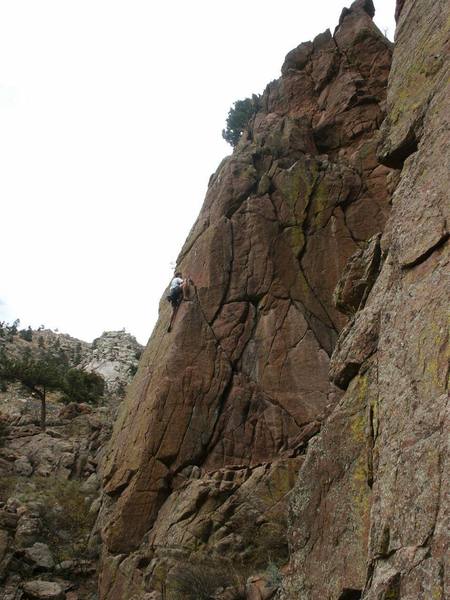 Marshall leading Green Slab.
