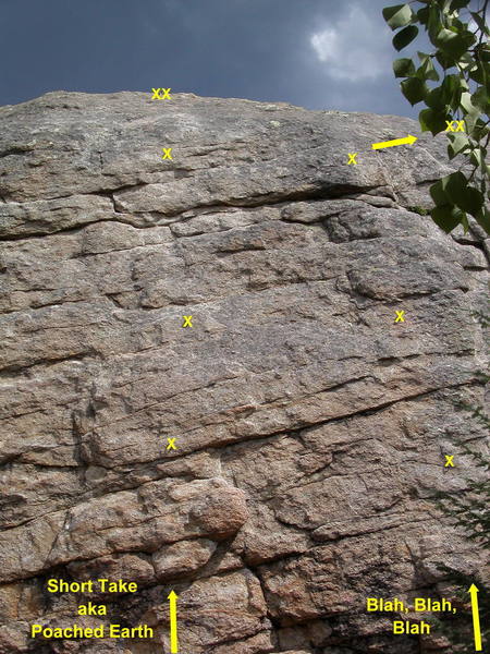Short Take is the next climb left of Blah, Blah, Blah.  It is the fourth bolted line from the left side of the rock.<br>
<br>
This climb is called Poached Earth in Gillett's guidebook.
