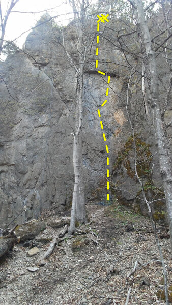 Tower of Power - 5.10d  <br>
Follow the crack up the diagonal line until it ends and then traverse the face to the roof. <br>
Undercling left to better holds on the face, to the anchors under the old white tree.