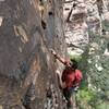 Alex Honnold free soloing end of pitch 3