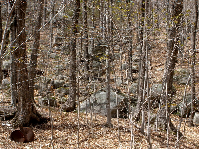 Climbing In The Boulder Field Wm Crawford Notch