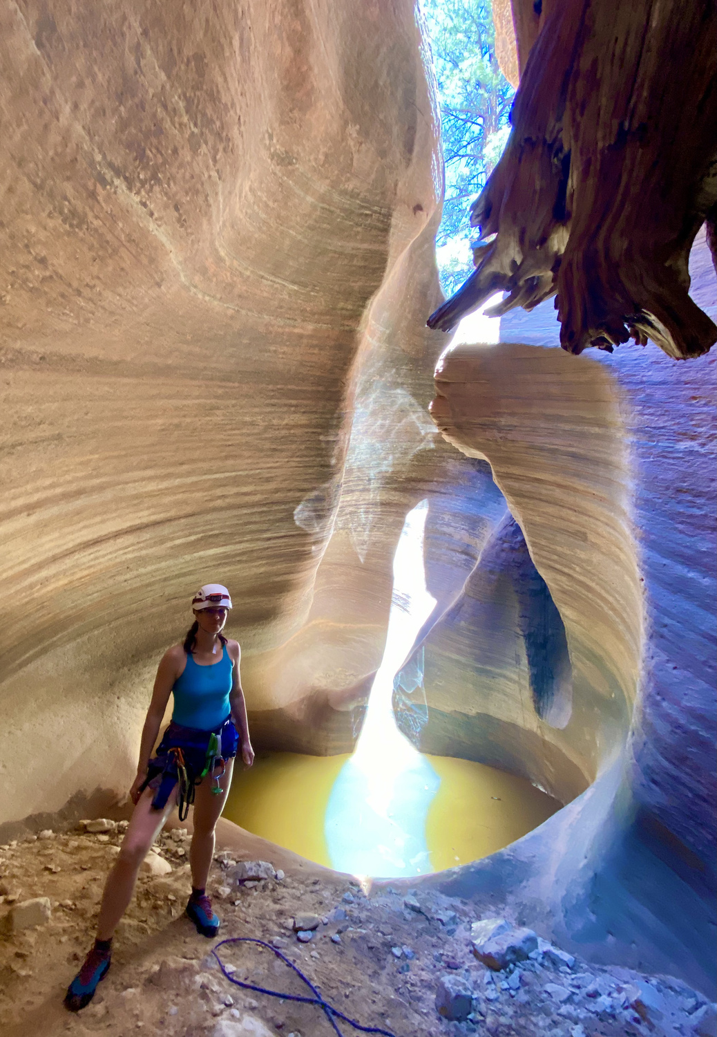 Zion national park Sylva in Keyhole canyon