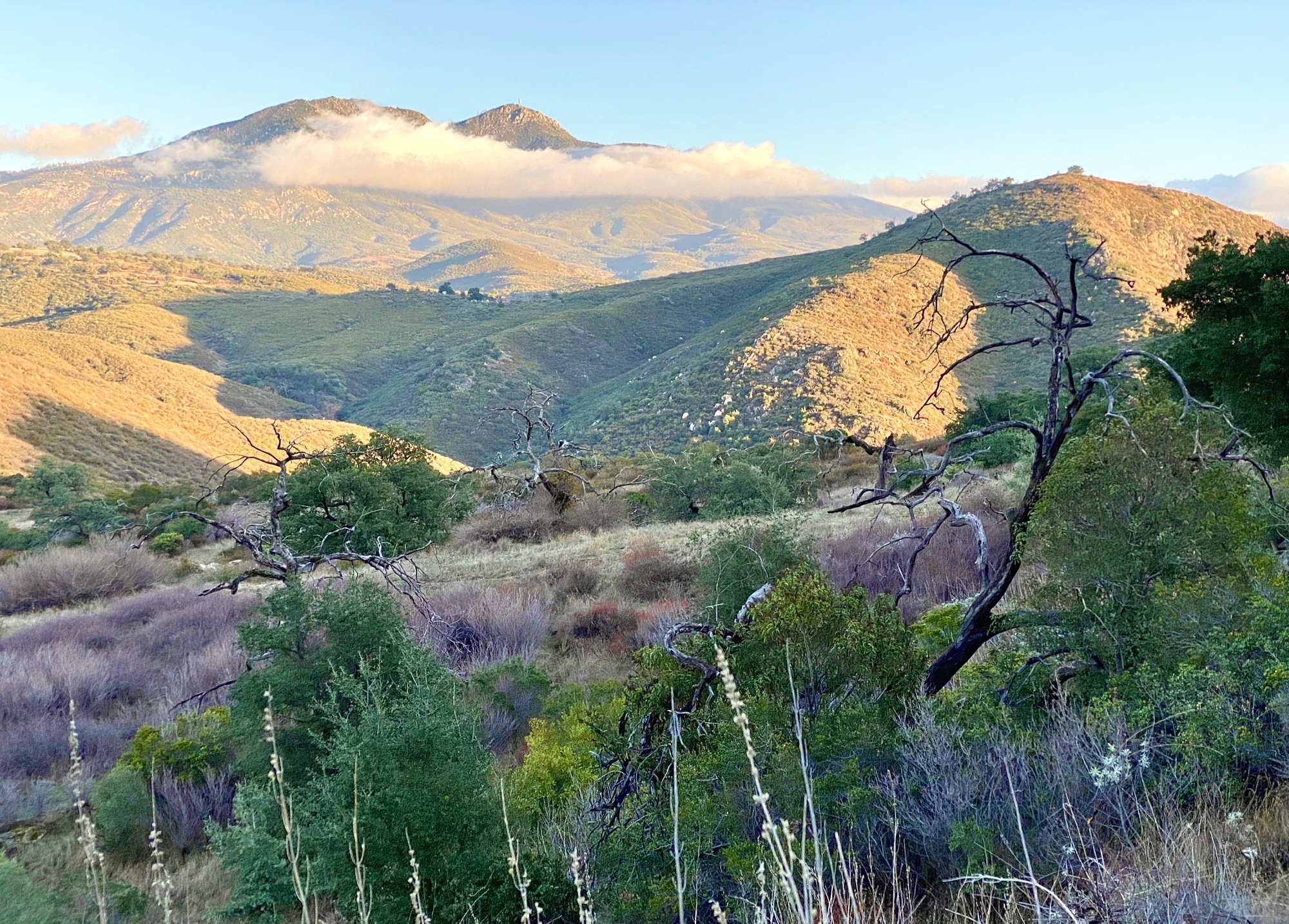 Mount Cuyamaca from the trail after a good rain