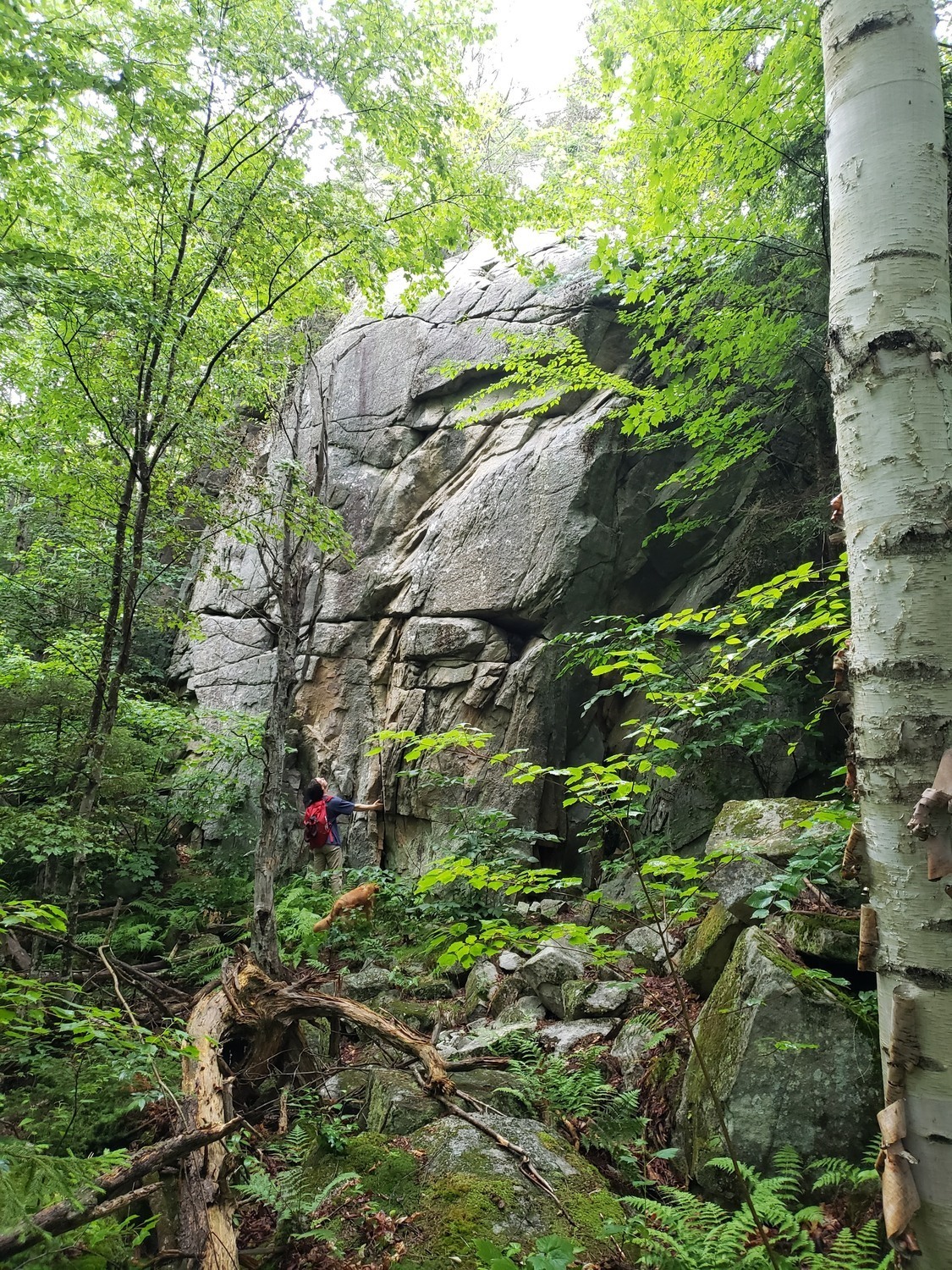 Wolf Ledge June 2021