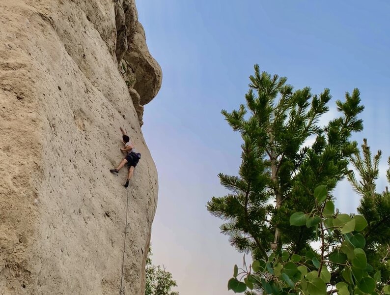 Rock Climb Choke Cherry Eyes, Wild Iris