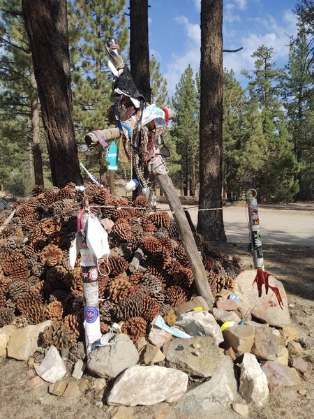 holcomb valley campground