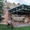Elk showing off not only the grass quality but the rock behind the amphitheater which features half the climbing.