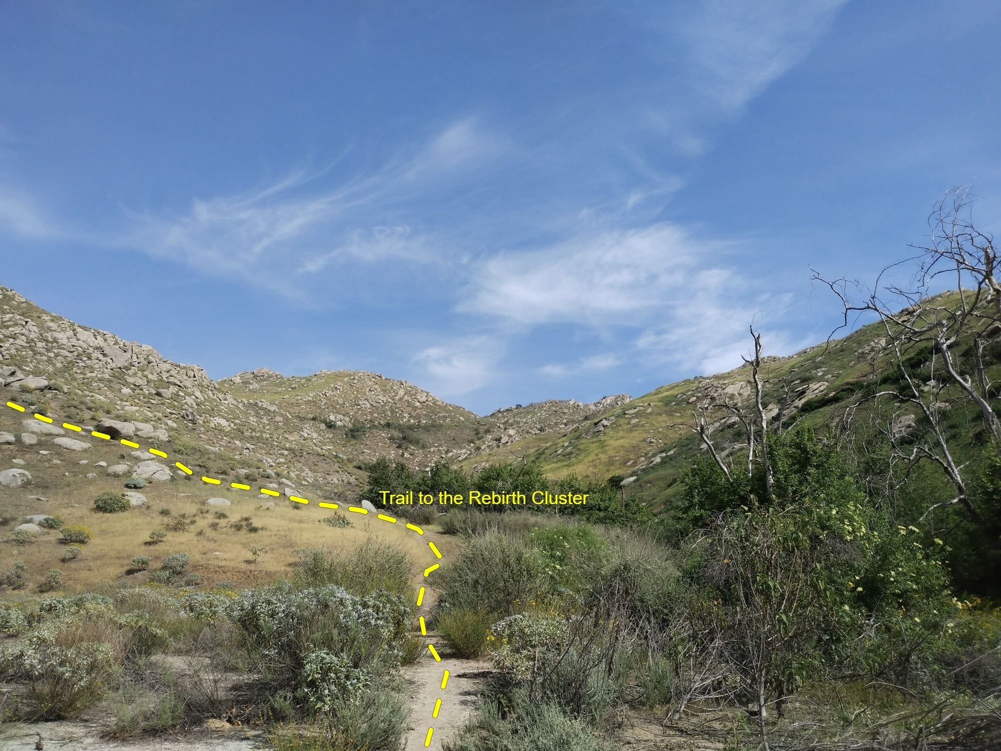 Open area just past shady section of trail, Box Springs Mountain Reserve