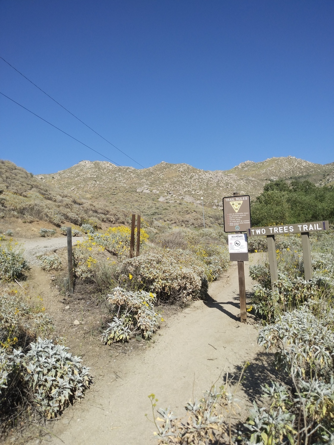 Take the left fork to the boulders, Box Springs Mountain Reserve