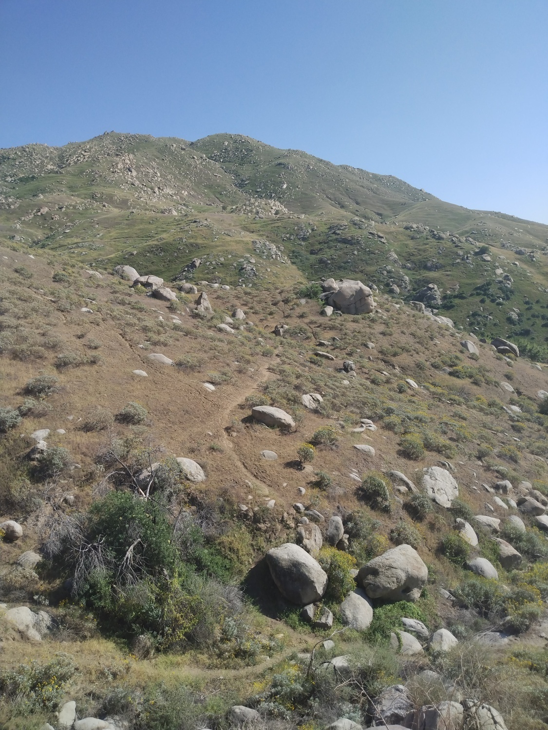 Rebirth Cluster from atop the Obi Wan Boulder, Box Springs Mountain Reserve