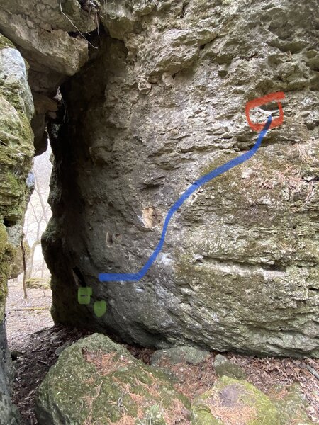 If only if only the woodpecker sighs…