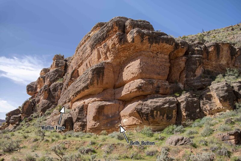 Beer Bellies Overview