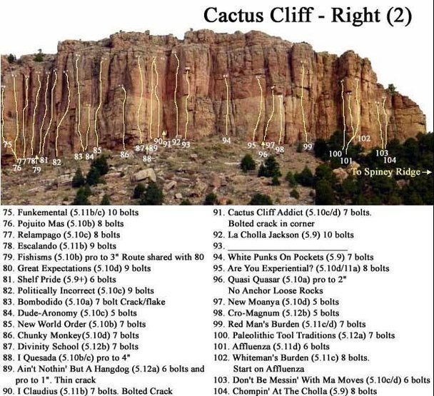 Cactus Cliff - Right (2).