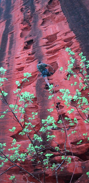 Bill leading the cool huecoed route.