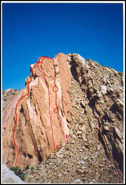 Reptilian Curiosity follows the left marked line.