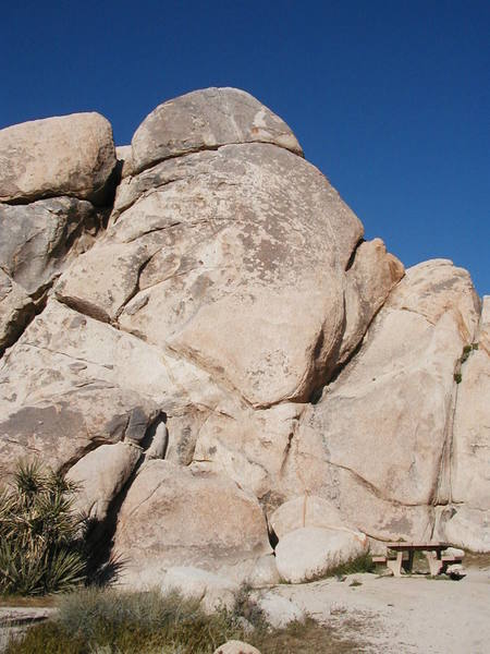 Decepticon (5.10a) climbs the smoothest section of rock left of the picnic table with Barely Crankin' (5.5) just to the left.