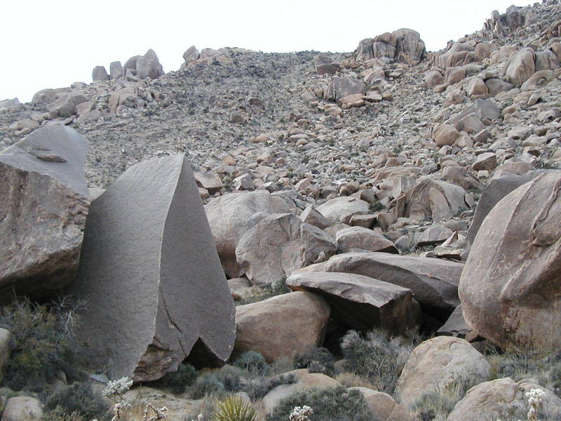 Zsa Zsa Gabor Memorial Boulder with the climb Marsupial Lust visible behind and to the right.