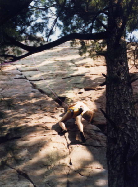 The lower portion of Upper D. when the tree was still there.