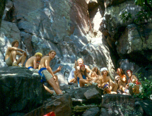 dlfa circa1981