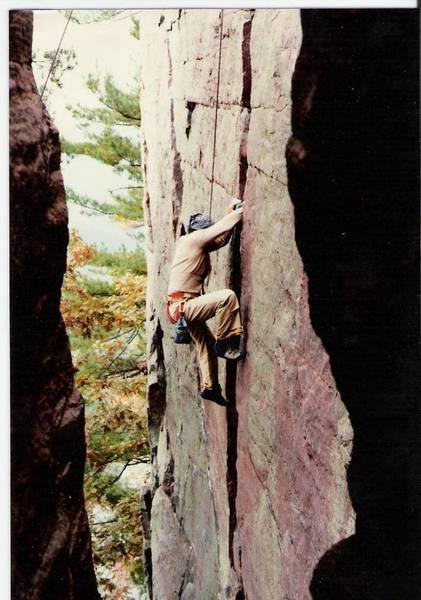 Woodchuck on the Birch Tree Crack Taken by Scott Danforth.