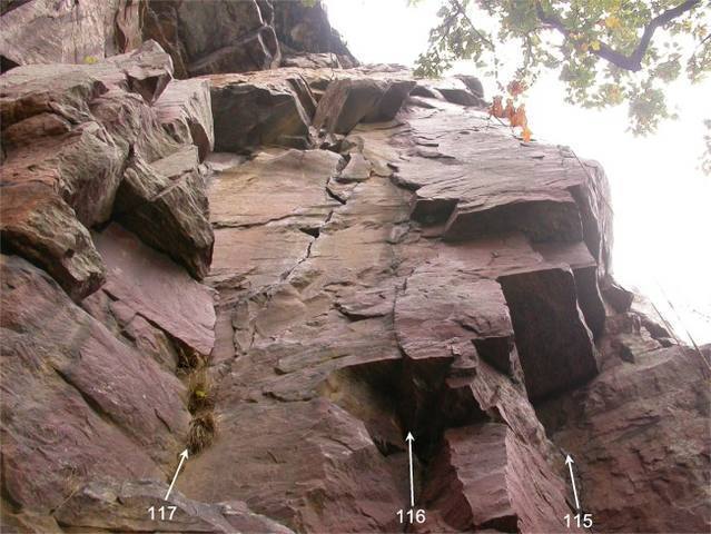 Cul-De-Sac (115), Fibula Cracks (116), and Tibia Crack (117).