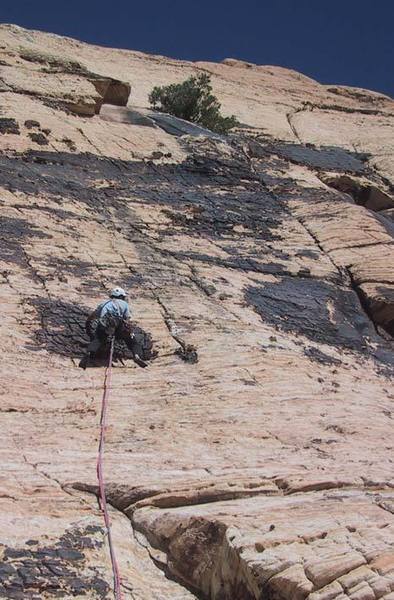 Pitch 1, Solar Slab. The crack you are aiming for is the one on the right leading to the tree.