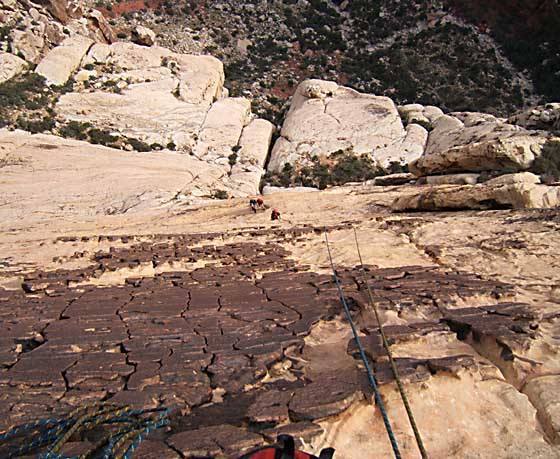 Looking down pitch four of Heliotrope
