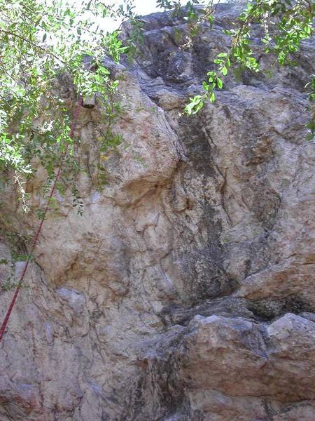 Climb the area that's not covered by trees, using the large flake that's in the center of the photo.