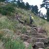 A steeper section of trail with lots of rock steps