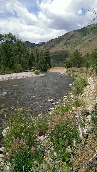 The Big Wood River moves through beautiful landscape