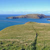 Looking down toward Aramoana and Taiaroa Head