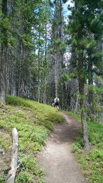 Late summer hiking on Lower Fireweed